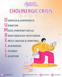 Image result for Cholinergic Toxicity