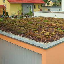Gründach auf garage oder carport: Dachbegrunung Mit System Fur Ein Rundum Nachhaltiges Dach Energie Fachberater