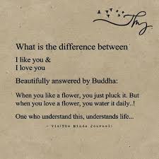 The Difference Between Liking And Loving Answered By Buddha Buddha Quotes Life Buddha Quotes Inspirational Buddhist Quotes