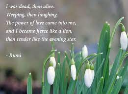 Sayings Of Rumi 3 Rumi Love Quotes Rumi Love Rumi