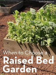 How to get a raised garden bed ready for planting. When To Choose A Raised Bed Garden Spotts Garden Service