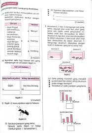 Interaksi antara haiwan tahun 6. Unit 4 Tahun 6 Brain Genius Mastery Mathematic Facebook