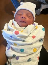 Paulette Lenora Willis