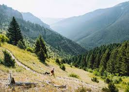 Why you'll love 7th ranch rv park. Field Forest Big Sky Summer