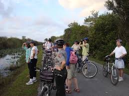 Are there any winter activities at shark valley? Morning Bike Ride Everglades National Park The Alliance For Florida S National Parks