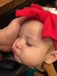 A cheeky smile from a cub after getting fed this morning (and possibly  entering our home for a moment when we weren't looking!)