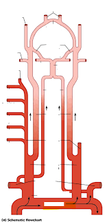 Arteries Of Head Neck Brain Flowchart Diagram Quizlet