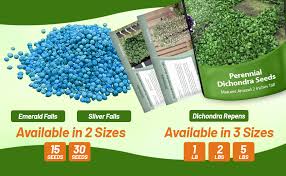 Image result for Dichondra