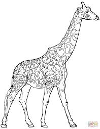 21 Exclusive Picture Of Giraffe Coloring Pages Entitlementtrap Com Giraffe Coloring Pages Elephant Coloring Page Animal Coloring Pages