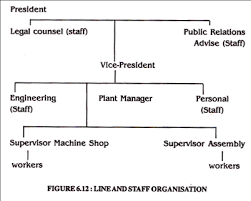 5 Main Types Of Organisational Structure