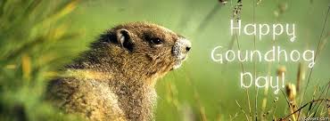 5 Fun Facts About Groundhog Day | Language Connections