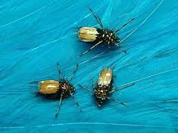 Fly Fishing And Fly Tying Videos By Davie Mcphail The Best Fly Fishing And Fly Tying Videos Online Fly Fishin Fly Tying Fly Fishing Fly Fishing Flies Trout