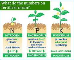 Solutions of uan are widely used as a source of n for. 0 20 20 Fertilizer Why Zero Nitrogen Mixes Reign Supreme Worst Room