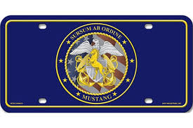 custom ldo cwo mustang license plate mustang plates