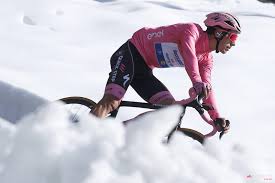 Tenho o privilégio, o orgulho e amizade de conviver com o joão desde á cerca de 08 anos. Who Is Joao Almeida And Can He Win The Giro D Italia Cyclingtips