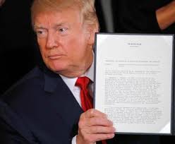 新しいオピオイド鎮痛薬の開発