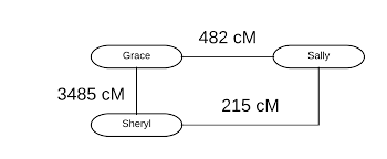 Examining Outliers In Shared Cm Amounts The Genetic