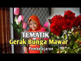 Misalkan saja bunga mawar, bunga tulip, bunga dahlia, bunga teratai, bunga anggrek, bunga melati, bunga sakura. 31 Gambar Bunga Mawar Bergerak Terbaik Lingkar Png