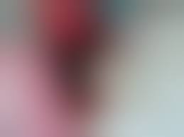 Необычный способ скрепления костей раненого кота с помощью простых пуговиц