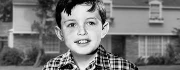 We are family #andygriffithshow #andygriffith