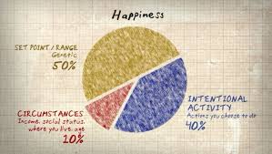 the elusive happiness including a pie chart of happy the