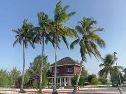 Maybe you would like to learn more about one of these? Mau Liburan Ke Pulau Bokori Di Kendari Ini Info Rute Biayanya Backpacker Jakarta