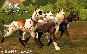 Kids can walk dogs · 14 14. Downloads Pets Sims Pets The Sims 3 Pets Sims 4 Pets