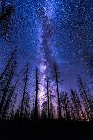 The public gallery images are free to use as your personal desktop wallpaper. Halo N Horns Klance Au Prologue Night Sky Wallpaper Night Sky Photography Night Sky Stars