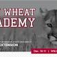 2024 WSU Wheat Academy