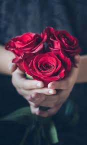 Mobile And Desktop Wallpaper Download Easily Beautiful Red Roses Beautiful Rose Flowers Red Roses Wallpaper