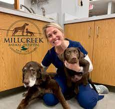 Mill creek animal hospital is a full service, state of the art veterinary hospital located in alpharetta, ga. Millcreek Animal Hospital Millcreekpetvet Twitter