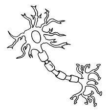 Neuronlarge1 Gif 1 000 1 000 Pixlar Neurons Coloring Pages Science Themes
