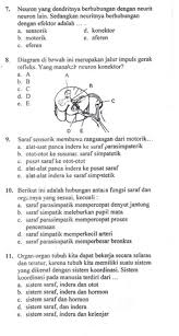 We did not find results for: Soal Biologi Tentang Indra Kls 8 Jawabanku Id