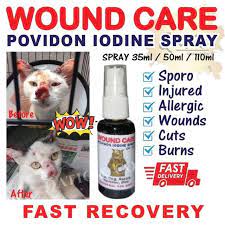 Wound Care Disinfectant Antiseptics Povidon Iodine Solution Spray Cat Dog Shopee Singapore