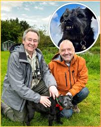 💔 Farewell to Ted 🐶 The beloved Gone Fishing star, Ted, has passed away.  Bob Mortimer and Paul Whitehouse are heartbroken, as Ted brought endless  joy to their fishing adventures. 💫 Bob
