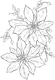 Poinsettia Pagine Da Colorare Di Natale Disegni Da Colorare Natalizi Graphics Fairy