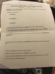 Which type of mutation stops the translation of the mrna? Please Give Me Clear Answers I Need It To Help Me Chegg Com