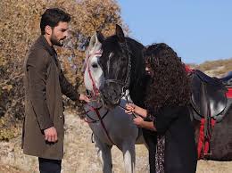 сколько серий в сериале между нами девочками 21 серия Serial Vetrenyj Hercai 2019 Soderzhanie Serij