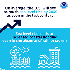 Sea level rises rapidly in the next 30 ...