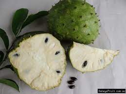 Buy dwarf fruit trees and get the best deals at the lowest prices on ebay! Soursop Tree Annona Muricata