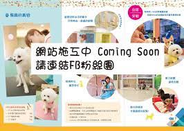 d y 寵物美容時尚旅店