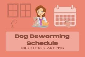 Once your puppy reaches 12 weeks, you can continue to treat your puppy every three months for life with an effective all wormer. Dog Deworming Schedule A Complete Guide For Dogs And Puppies Damsel And Angel All About Golden Retrievers