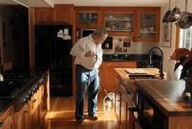 Live bed bugs leave clusters of dark brown or black spots of dried excrement on infested surfaces. Bed Bug Property Management Mass Bed Bug Busters Detection Dogs