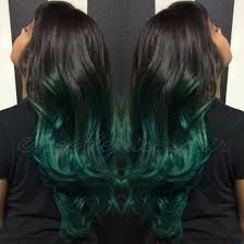 Bird With Long Hair On Head Peacock Ombre Hair Long Hair Styles Hair Styles