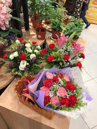 Mendapat pengiktirafan dan dirasmikan menjadi bandaraya pada tahun 2000. Sweet Florist Happy Mother S Day Aeon Shah Alam Facebook