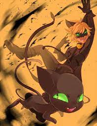Miraculous Ladybug Chat Noir X Male Reader
