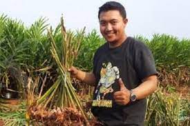 Seperti jenis budidaya tanaman yang menguntungkan dan cepat panen, sebenarnya ada beberapa jenis tanaman yang mudah ditanam lho! Bisnis Rempah Dapur Pemuda Ini Raup Omzet Ratusan Juta