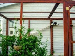 Let your cat enjoy nature in the safety of these outdoor cat enclosures. How To Build An Outdoor Cat Enclosure Or Catio