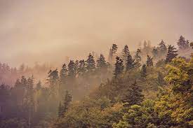 A Guide To Capturing The Great Smoky Mountains National Park