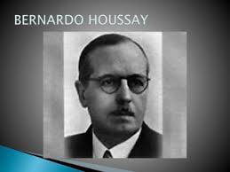 Bernardo houssay (1)